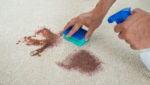 carpet stain removal 1.jpg